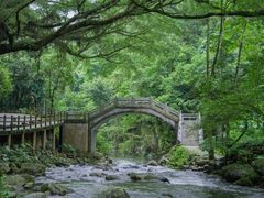 -广州市石门国家森林公园