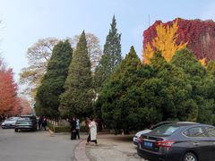 -辽宁大学(崇山校区)