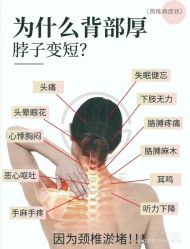 点击看大图 -玛莲朵·海菲秀冰珀科