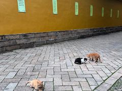 -西园戒幢律寺