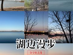 -武清南湖绿博园