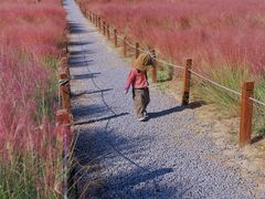 -汉长安城未央宫国家考古遗址公园