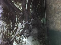 阿多私房菜-阿多私房菜(顺德店)