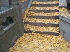 -雨花胜境