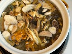 -蘑统田下·野生菌火锅