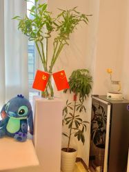 -黎蓓露·徒手骨雕蛋白抗衰·调肤管理