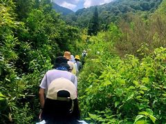 -会稽山峡洞漂流-上青古道
