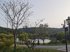 -龙寺生态园