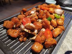 -老板恋上鱼(恒隆广场店)