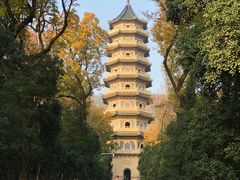 -灵谷景区