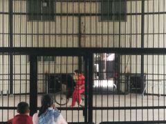 -广东茂名森林公园