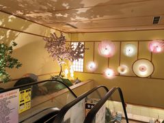-汤泉良子(金源店)
