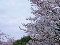 -杭州少年儿童公园
