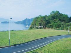 -千岛湖石林