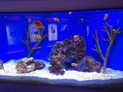 -上海海洋水族馆