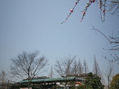 门面-旺福楼(钱家坞总店)