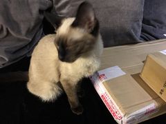 -吱咖啡西式简餐