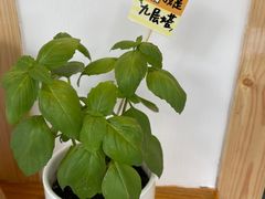 -呷贺盐酥鸡(抄纸巷店)