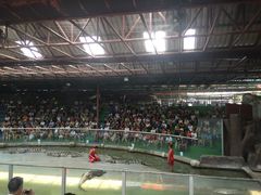 iphone_upload_pic-是拉差龙虎园(Permanently closed)