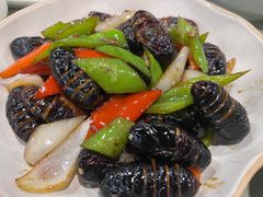 -渔娘渔家丹东海鲜(东直门店)