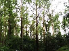 -南岗山公园