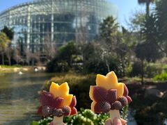 -昆明植物园