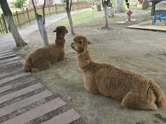 -杭州千岛湖开元度假村