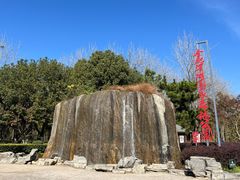-合肥滨湖国家森林公园