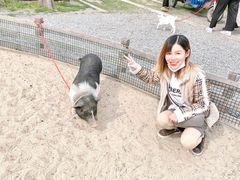 -前小桔亲子创意农场·草莓采摘·露营烧烤