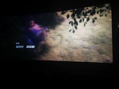 -中影大导演巨幕影城(深圳西乡店)