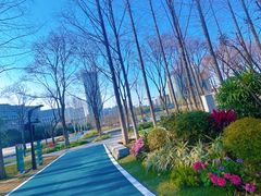 -后襄河公园