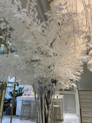 -初颜品佑肌肤管理