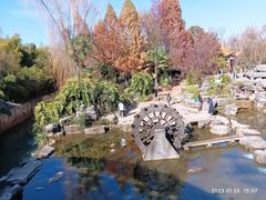 -洛龙公园