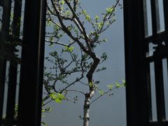 -绮园景区