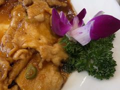 -老苏扬饭店