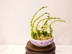 -共青国家森林公园-售票处