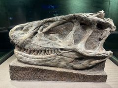 -自贡恐龙博物馆