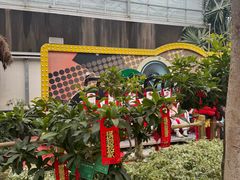 -南宫五洲植物乐园