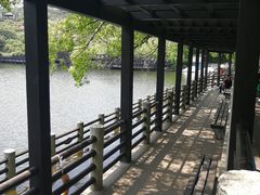 -白马涧龙池景区