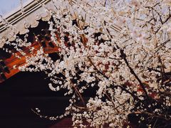 -三里河公园