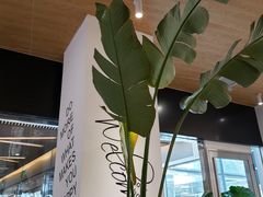 -Blueglass酸奶(财富购物中心店)