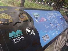 -海珠湖公园