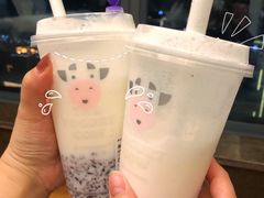 -一只酸奶牛(八一路店)