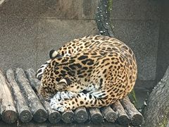 -西安秦岭野生动物园
