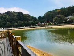 -广州市帽峰山景区