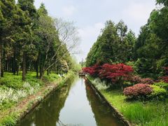 -东平国家森林公园