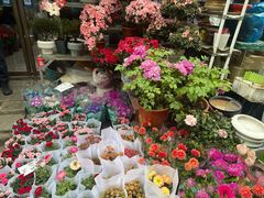 -苏州市皮市街花鸟工艺品市场