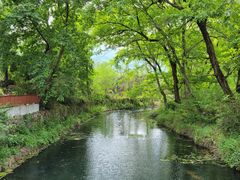 -波尔登森林公园
