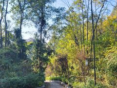 -高荡千年布依古寨旅游景区