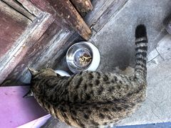 -正阳书局(西四南大街店)
